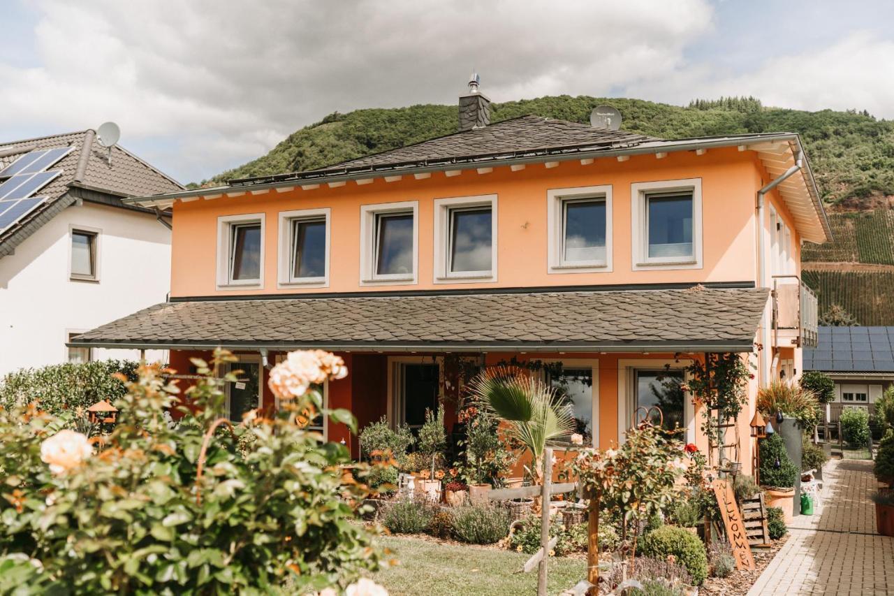 Wein- Und Gaestehaus Schwaab&Sohn Erden Εξωτερικό φωτογραφία