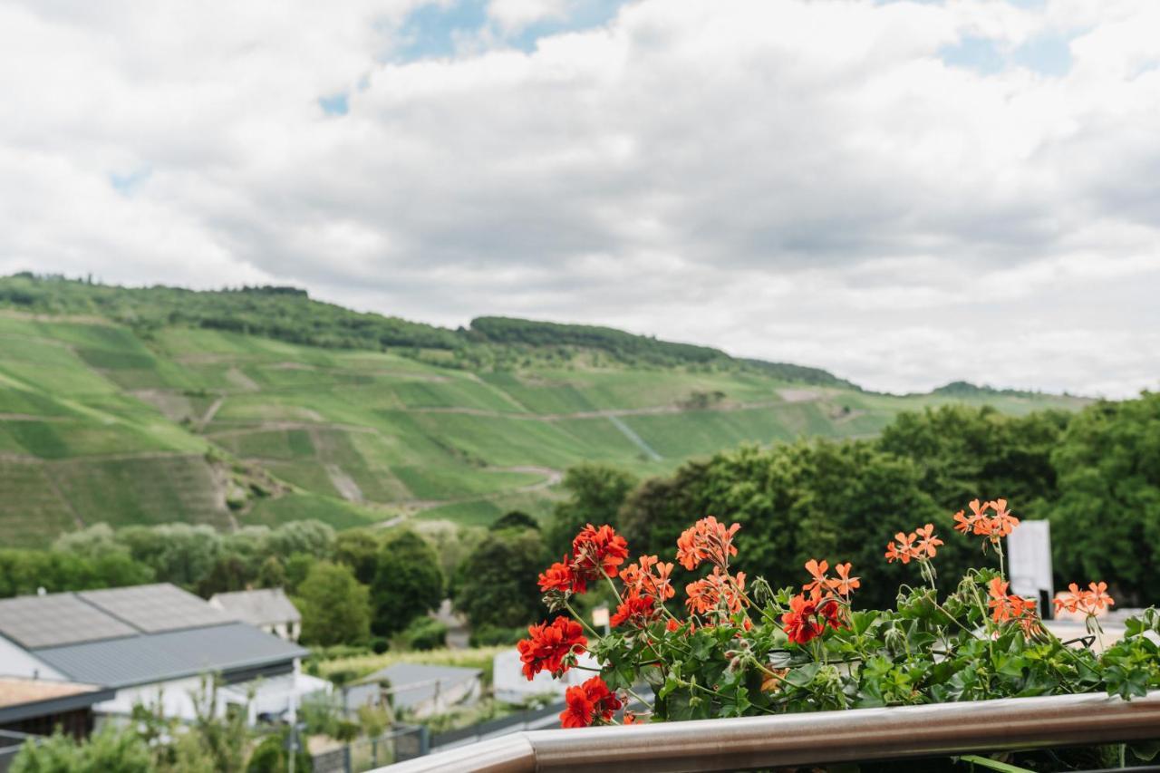 Wein- Und Gaestehaus Schwaab&Sohn Erden Εξωτερικό φωτογραφία